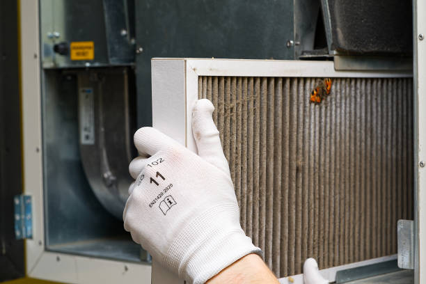 Best Professional Duct Cleaning Services  in Kenyon, MN