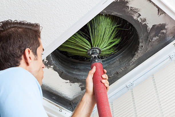 Best Air Duct Mold Removal  in Kenyon, MN